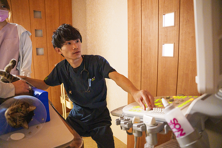 治療・検査費用について