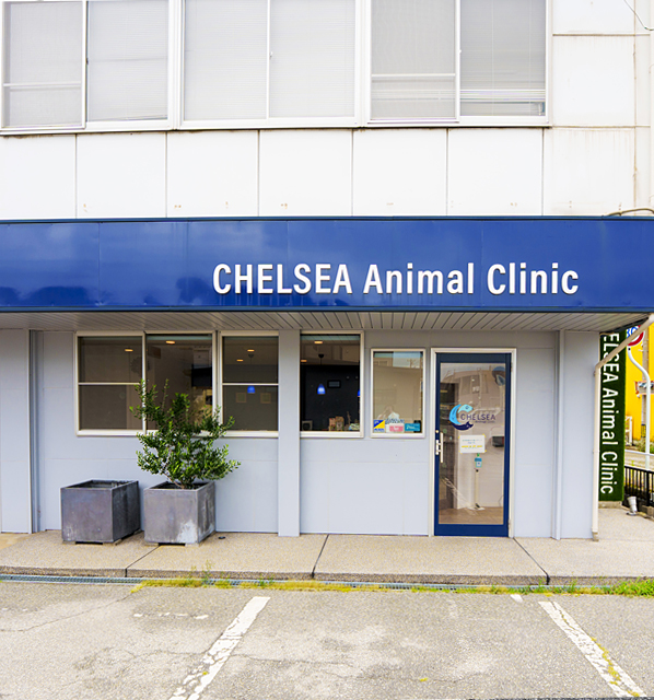 院内風景スライダー1枚目