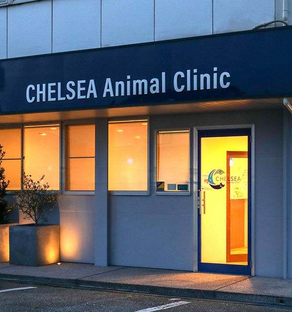 院内風景スライダー8枚目