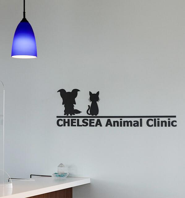 院内風景スライダー5枚目