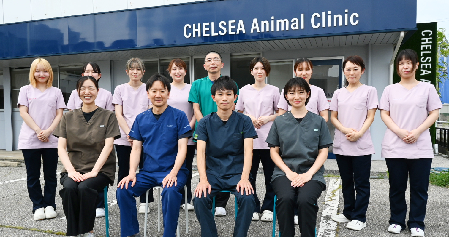 スタッフ集合写真